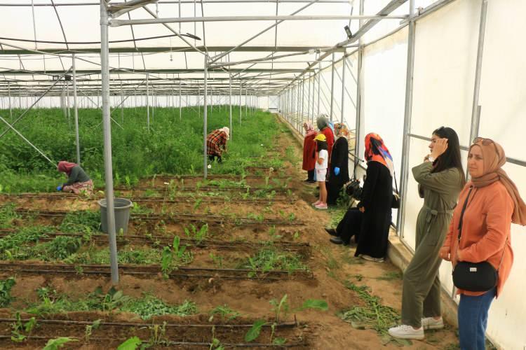 <p>Şu anda bulunduğumuz alan, Tokat Valiliği İl Özel İdaresi tarafından altyapısı oluşturulmuş Tokat İl Özel İdaresi'nin mülkiyetinde bulunan yaklaşık 700 dönümlük bir alan. </p>