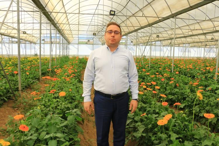 <p>Dolayısıyla 900 dönüme yakın bir alanda yıllık yaklaşık 20 milyon adet 25 ayrı çeşitte kesme çiçek üretimi halihazırda gerçekleştirilmektedir" dedi.</p>