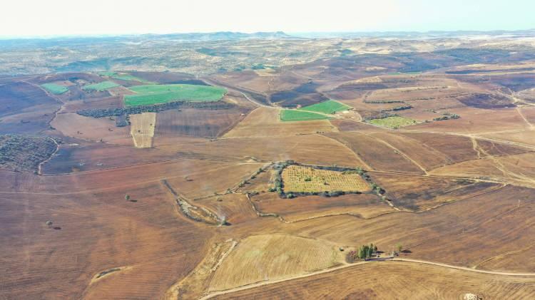 <p>Sezgin Tanrıkulu, şu açıklamayı yapmıştı:</p>

<p>Bu tip yangınlarla ilgili olağan şüpheliler vardır; bunlardan biri DEDAŞ'tır. Elektrik iletim hatlarının bakım, onarım yeterli bakım, onarım ve altyapı çalışması yürütülmediği için özellikle bu mevsimlerde yangınlar enerji hatlarından kaynaklanıyor.</p>
