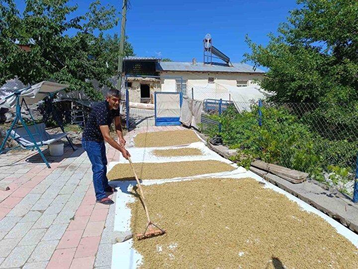 <p><strong>Üreticilerden Gönül Bektaş da ''Otuz yıllık tarih öğretmeniyim. Ulukale köyünde babama ve anneme yardım etmek için bulunuyorum. Çocukluğumuzdan beri bu işin içerisindeyiz. Yılın on ayı normal memurluk hayatımı sürdürüyorum. Ardından aileme yardım etmek için buraya geliyorum. Köyde ciddi anlamda bir erkek kadın dayanışması var. </strong></p>
