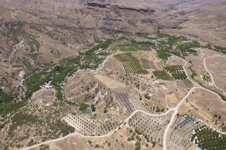 <p><strong>Tunceli'nin Çemişgezek ilçesine bağlı Ulukale ve çevre köylerinde üretilen, çekirdeksiz ve küçük taneli çerezlik Ulukale dutu aileler için geçim kaynağı oluyor.</strong></p>
