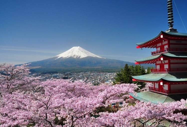 <p>Japonya</p>