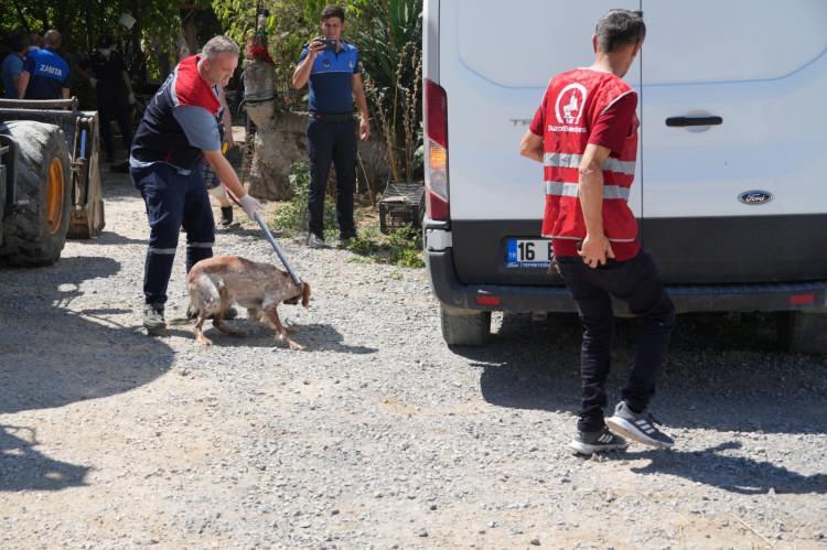 <p>Evdeki 11 köpek, 20'ye yakın kediyle çok sayıdaki tavuk ve civciv de Veteriner İşleri Müdürlüğü ekiplerine teslim edildi. </p>
