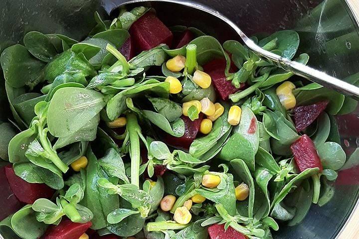<p>Semizotu salatası<br />
Ezogelin çorbası<br />
Midye tava<br />
Yuvalama çorbası<br />
Izgara sardalya<br />
Kadayıf dolması<br />
Tas kebabı<br />
Tutmaç çorbası</p>