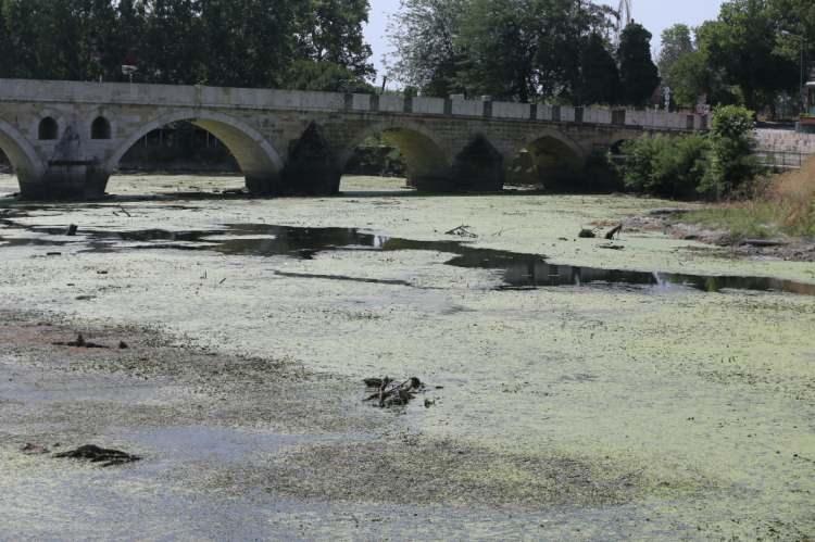 <p>Edirne Tarım ve Orman Müdürü Atilla Bayazıt, üreticilerin su ihtiyacını karşılayabilmek adına su seviyesi yükselene kadar kontrollü sulama yapılacağını belirtmişti.</p>
<p> </p>