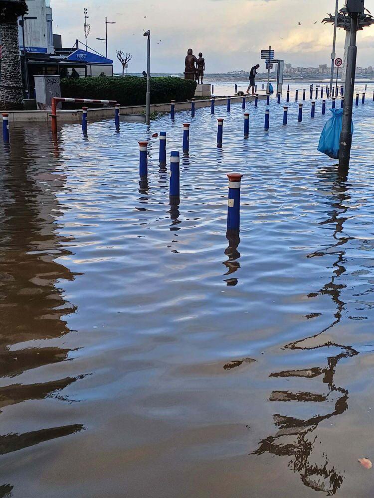 <p>"İzmir'de olası bir depremde her semtin kendine göre yaşayacağı sıkıntılar var" diyen Önalan, "Konak, Alsancak, Bayraklı, Mavişehir ve Bostanlı'da sıvılaşma ve denizin kentin içine doğru yürüdüğünü göreceğiz. Kentin içerisinde mahallelerin arasında kum fışkırmaları, su çıkışlarını göreceğiz. Bunlar uzun vadede çözülmesi gereken şeylerdi ancak ne yazık ki yapılmadı" ifadelerini kullandı.</p>

<p> </p>
