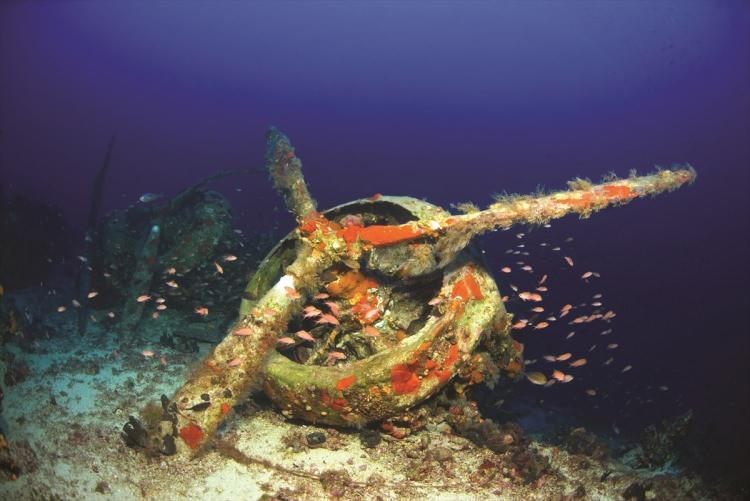 <p>Su altı belgesel yapımcısı ve görüntü yönetmeni Tahsin Ceylan, Kaş ile Kızılhisar (Meis) Adası arasındaki <em><strong>"flying fish"</strong></em> dalış noktasına tekneyle açılarak dalış gerçekleştirdi.</p>

<p> </p>
