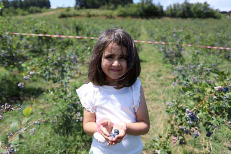 <p>İnegöl Belediyesi'nin üreticiye her zaman destek olacağını ifade eden, <strong>“Belediyelerimiz özellikle fidan destekleri noktasında bu gibi yeni ürün ekilişlerine destek sağlıyorlar.</strong></p>
