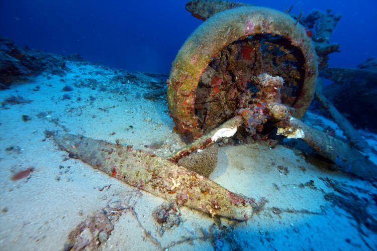 <p>Muhtemelen Rodos'taki üssünden kalkan uçağın son uçuşundan sonra geri dönemediğini aktaran Ceylan, <em><strong>"Paraşütle atlayan pilotun da açılan uçaksavar ateşi ile havada vurulduğu ifade edilmektedir. Balıkçılar tarafından bulunan ve Kaş'a gömülen cesedinin daha sonra İtalyan yetkililer tarafından çıkartılarak ülkesine götürüldüğü bilinmektedir."</strong></em> dedi.</p>

<p> </p>
