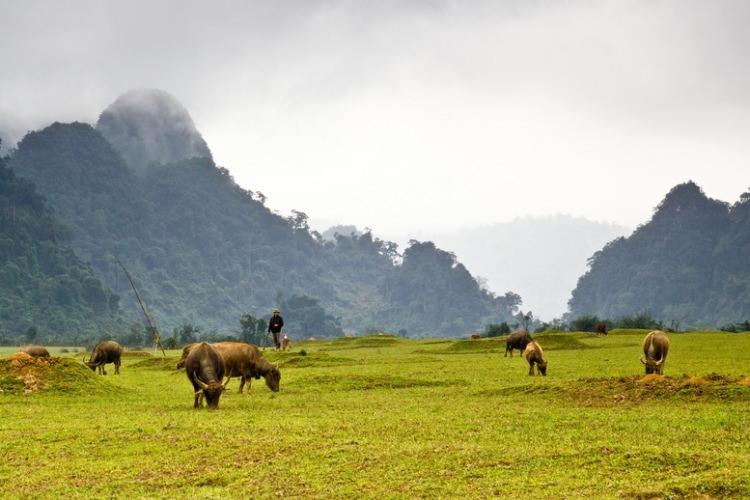 <p><span style="color:#B22222"><strong>Vietnam </strong></span><br />
<br />
Tân Hoá</p>