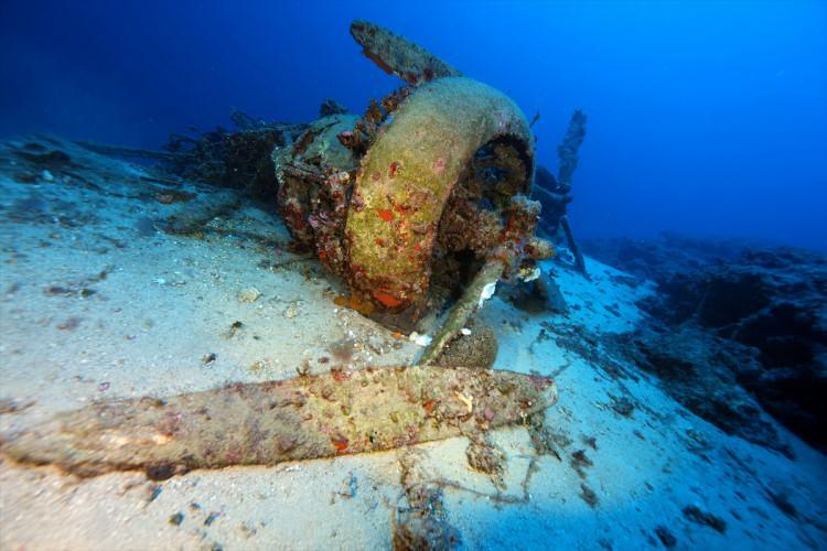 <p>Ceylan, söz konusu uçağın dönemin en başarılı bombardıman uçağı olarak bilindiğini aktardı.</p>

<p> </p>
