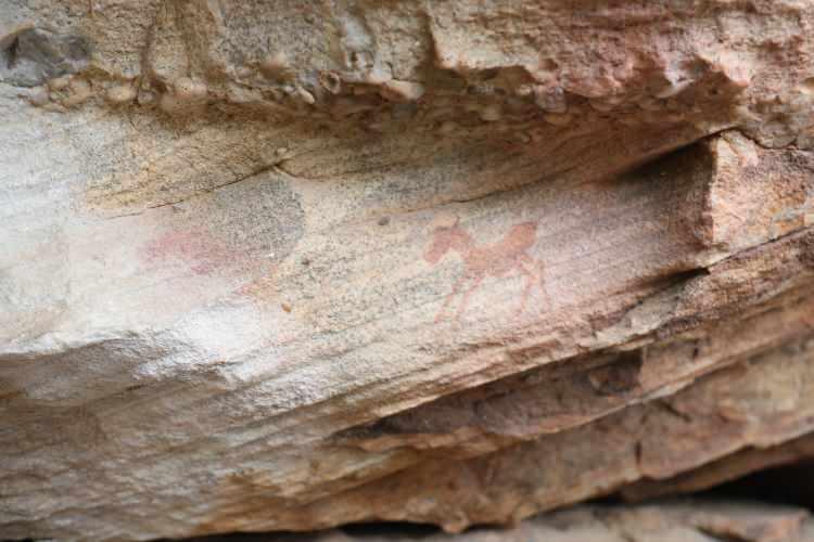 <p>Western Cape eyaletinde bulunan Cederberg Dağı ve çevresi, binlerce yıl boyunca San toplulukları için önemli bir yaşam alanı olarak biliniyor.</p>
