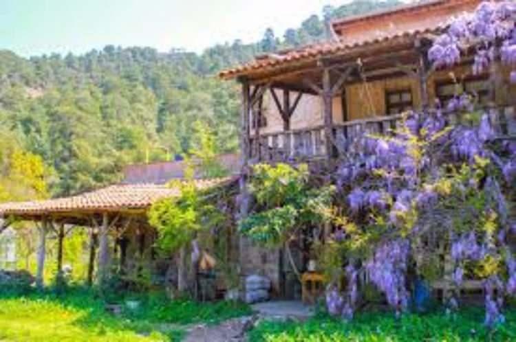 <p>İşte doğayla iç içe tatil yapabileceğiniz noktalar. </p>