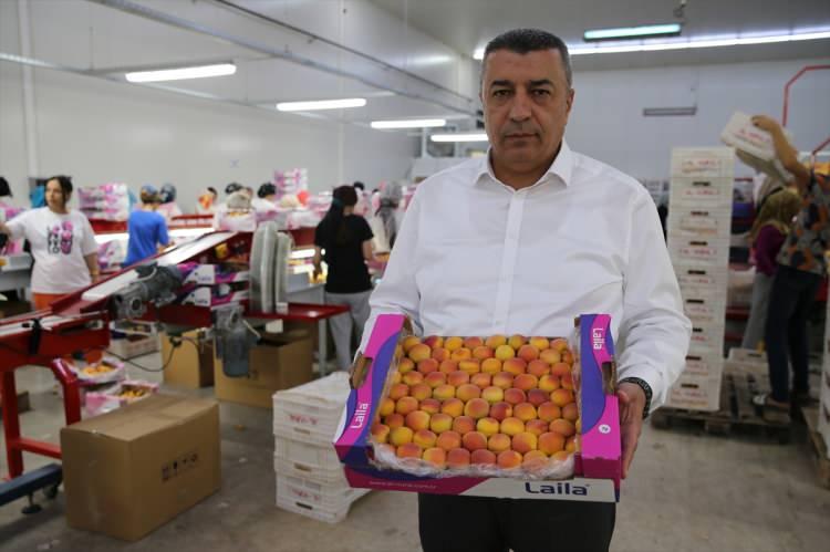 <p>Özcan, kuru ve yaş kayısı ihracatında miktar artışı ve pazar genişliğinin kendileri için çok önemli olduğunu dile getirerek, "Bu yıl yaş kayısı ihracatında 100 milyon dolar hedef koyduk.</p>