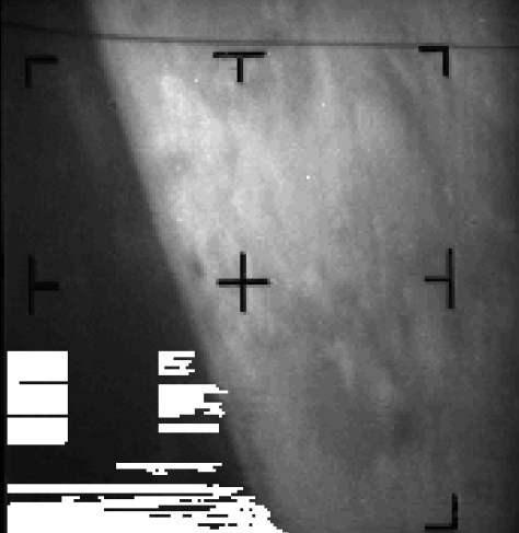 <p>NASA'nın Mars'ta yaşam umutlarını belirten 59 yıl önce çekilen ilk Kızıl Gezegen görüntüleri çorak bir gezegeni ortaya çıkardı. Uzaylılara sığınak olduğuna dair inancı yerle bir etti.</p>
