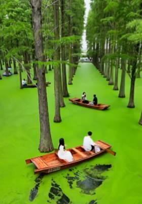 <p><span style="color:inherit">3. Yangzhou, Çin'deki Haoyang Gölü Sulak Alan Parkı</span></p>
