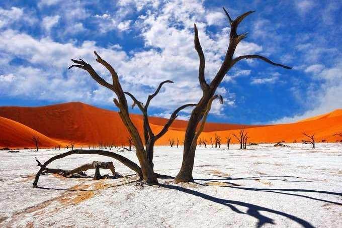 <p>8. Deadvlei, Namibya'daki Namib-Naukluft Parkı'ndaki kum tepeleri arasındaki bir vadide bulunan ünlü Sossusvlei tuz tavasının yakınında bulunan beyaz kil tavadır.</p>
