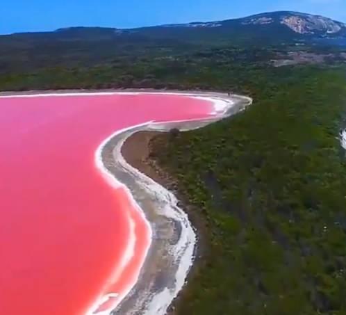 <p>20. Hillier Gölü, Avustralya</p>

<p> Pembe renk, karotenoidler üreten ve ona turuncu, kırmızı veya pembe bir renk veren halofilik ve ekstremofilik bir alg olan Dunaliella salina'dan kaynaklanmaktadır.</p>
