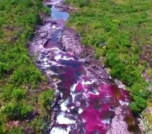 <p>24. Cano Cristales, Kolombiya</p>

<p>Berrak suyuyla bilinen bu nehrin yatağında canlı Macarenia clavigera bitkileri görülüyor. Bu bitkiler yalnızca Kolombiya'da bulunur.</p>
