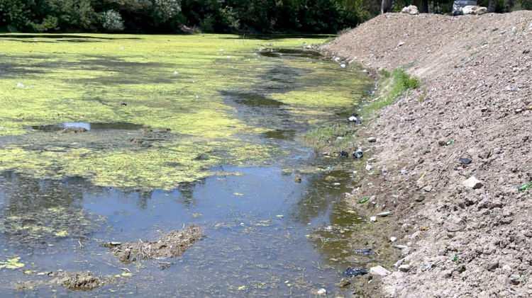 <p>Bazen Tunca Nehri'nde 3 metreküp/saniyeye, Meriç Nehri'nde de saniyede 40 metreküpe kadar düşüyor. Ve bu aşağılara, İpsala tarafına indiği zaman 24 metreküpe kadar düşüyor. Bununla ilgili olarak Tunca Nehri'nde dönüşümlü bir planlamaya gittik, kooperatiflerimizle. Yani üst taraftaki suyu kesip, aşağı taraftaki tarım arazilerine, çeltik alanlarına veriyoruz ve 3-4 gün sonra da yukarıya verip aşağı kesiyoruz. Yani hepsini aynı anda veremiyoruz. Yani yaklaşık 20 gündür bu bunu uyguluyoruz" diye konuştu.</p>

<p> </p>
