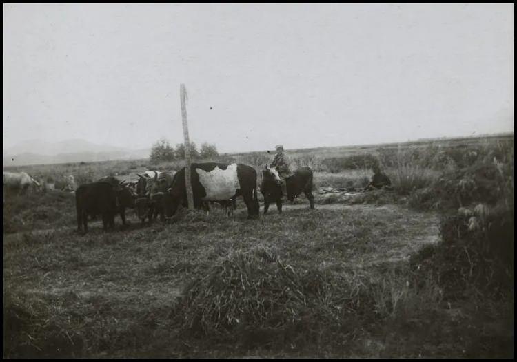 <p>Atalan/Atıgay: Ünlü</p>