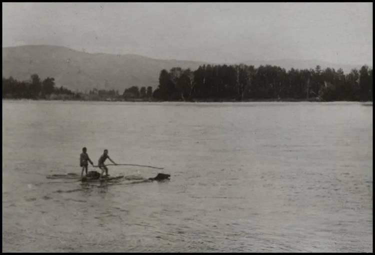 <p>Balaban: Bir doğan türü</p>