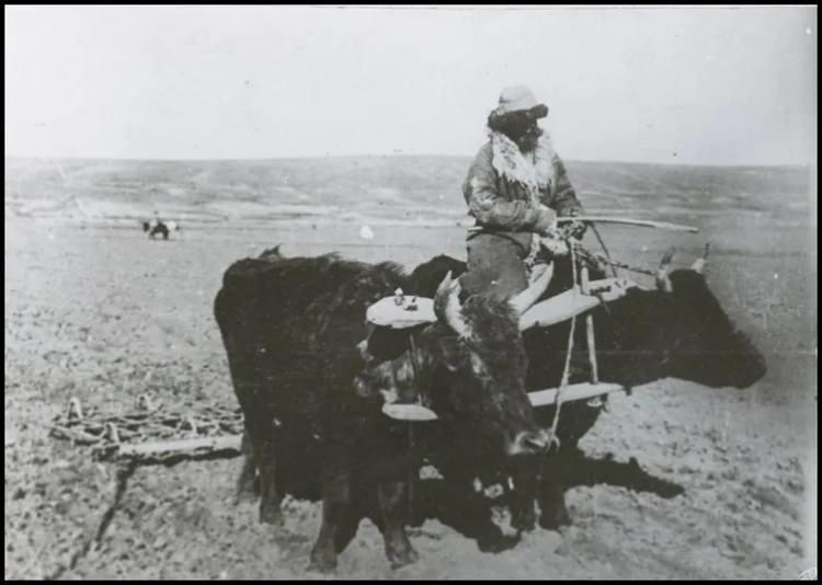 <p>Dumrul: Okun sivri ucu, efkarlı</p>
