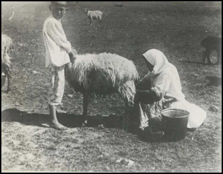 <p>Ergün: Yumuşak huylu</p>