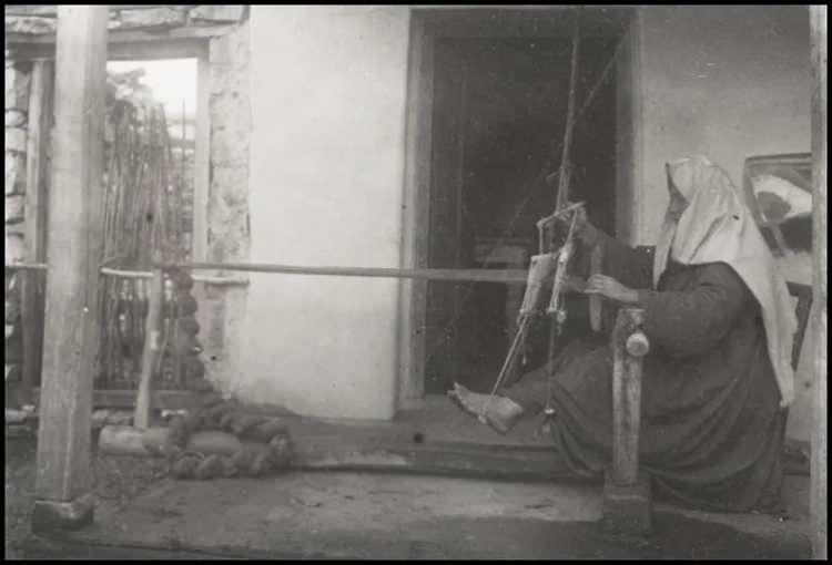 <p>Toygar: Tarla kuşu</p>