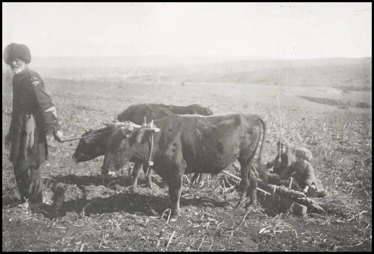 <p>Ulaş: Ululuk</p>