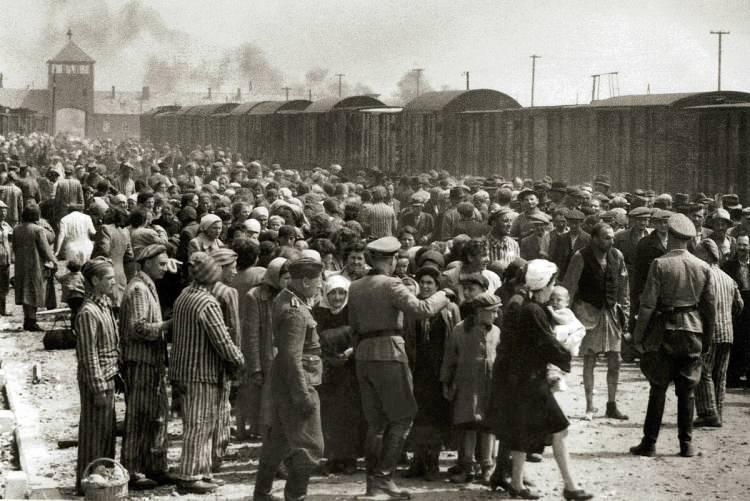<p>Bu, 1930'larda yaklaşık 400 bin Alman'ın hastanelerde kısırlaştırılmasıyla başladı ve Avrupa Yahudilerinin neredeyse tamamen yok edilmesi ve milyonlarca insanın öldürülmesiyle sonuçlandı; hepsi de Ari ırkını arındırma adına yapıldı.</p>