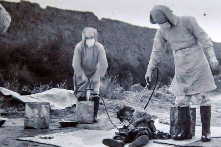 <p>Binlerce tutuklu, Japon İmparatorluk Ordusu'nun 731. Birimine girdi; ancak hiçbir zaman geri dönmediler. Burada insan deneyleri için kobay olarak muamele gördüler.</p>
