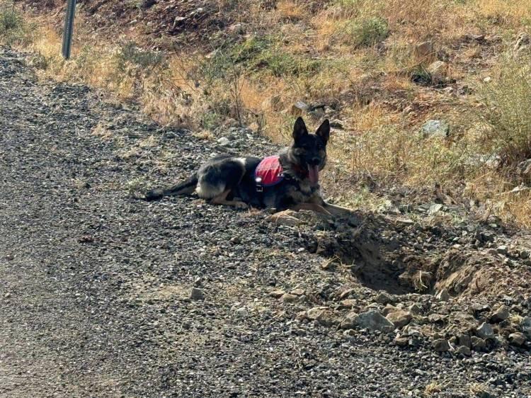 <p>İl Jandarma Komutanlığı tarafından 16 Temmuz’da Şehit Jandarma Uzman Çavuş Uğur Kartal Operasyonu düzenlendi. </p>