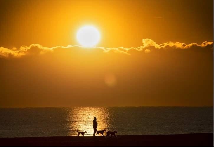 <p><strong>49.6 DERECE</strong></p>
