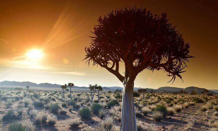 <p><strong>50 DERECE</strong></p>
