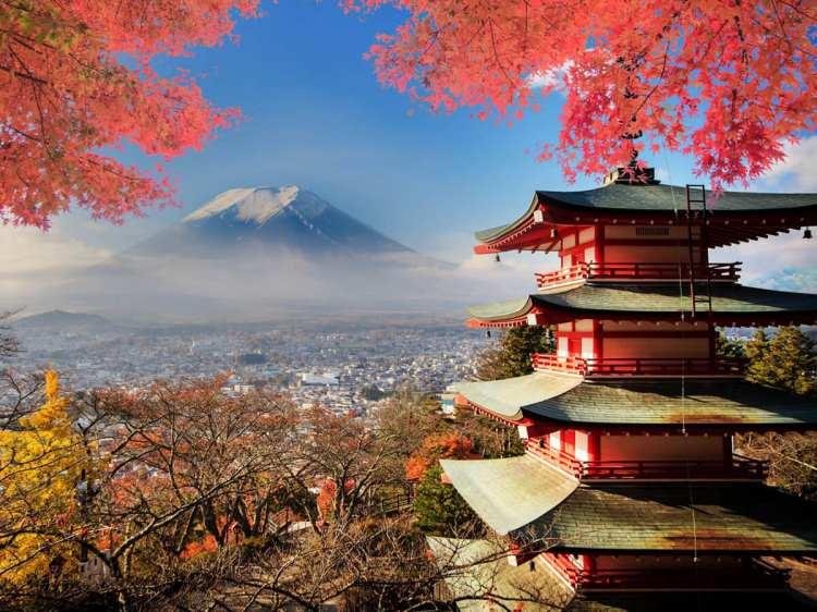 <p>JAPONYA</p>