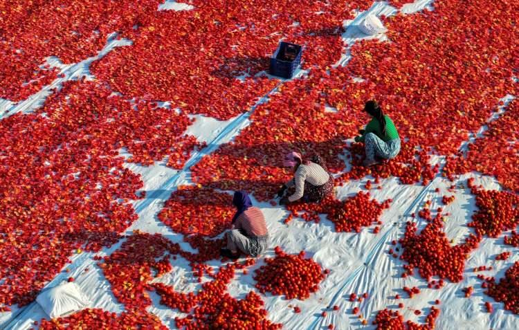 <p>Bu yılın aynı döneminde ise ihracat geçen seneye göre yüzde 14 artışla 69 milyon 123 bin dolara çıktı.</p>
<p> </p>