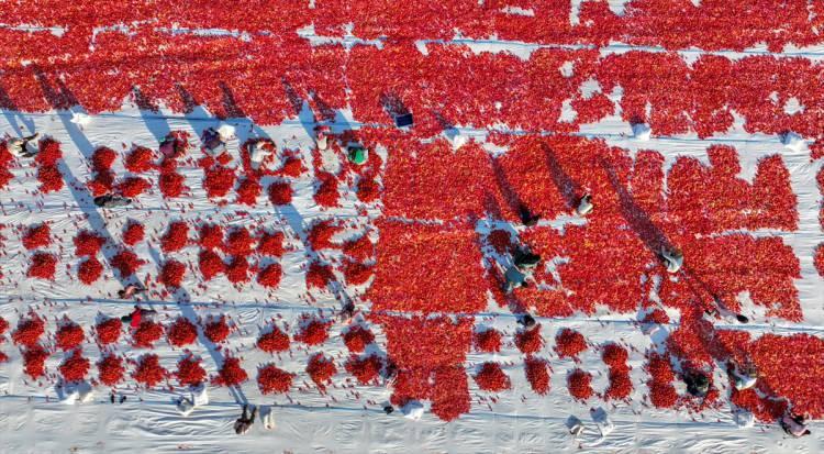 <p> Bu konuyla ilgili olarak da zaman zaman oda olarak biz yaptığımız çalışmaları kendilerine anlatıyoruz. Bu anlamda üretim yaygınlaştıkça ihracat rakamları da artıyor. Bu konuda da ihracat şampiyonu bir ilçeyiz." dedi.</p>