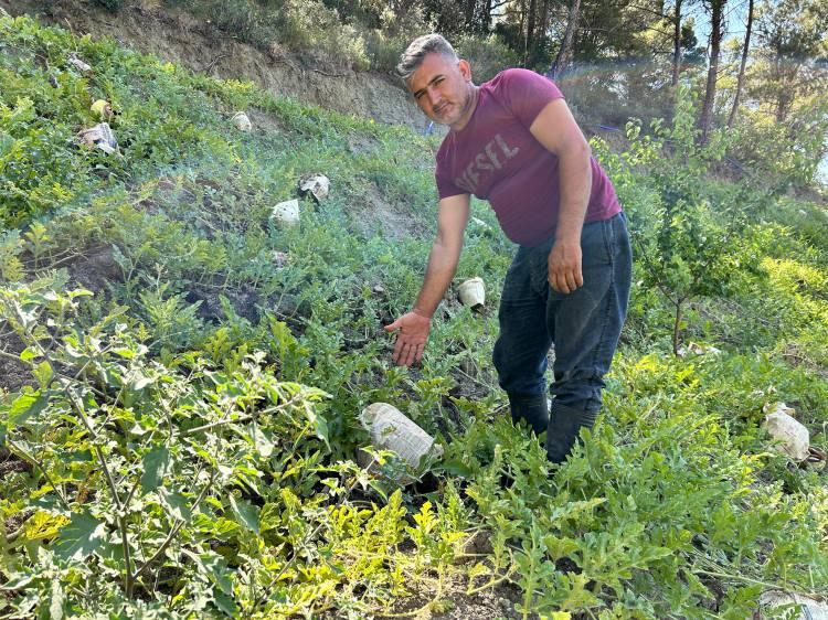 <p>Hatay'da karpuz yetiştiren bir üretici, karpuzların yanmaması için çareyi gazete kağıdında buldu.</p>

