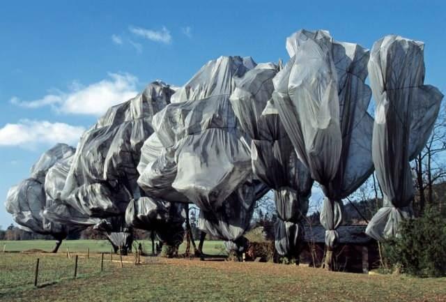<p>1991 yılında artist Christo ve Jeanne-Claude bir instalasyonlarında binlerce büyük şemsiye kullandılar. Bu şemsiyeler sarı ve mavi renklerdeydi. Bu büyük şemsiyeler 6 metre yüksekliğinde ve 8.7 metre genişliğindeydi. İki ay hazırlıktan sonra instalasyon sergilenmeye başlandı. Sergiyi gezen yaşlı bayan, çıkan bir rüzgar yüzünden üstüne düşen şemsiyenin altında kalarak öldü.</p>

<p> </p>
