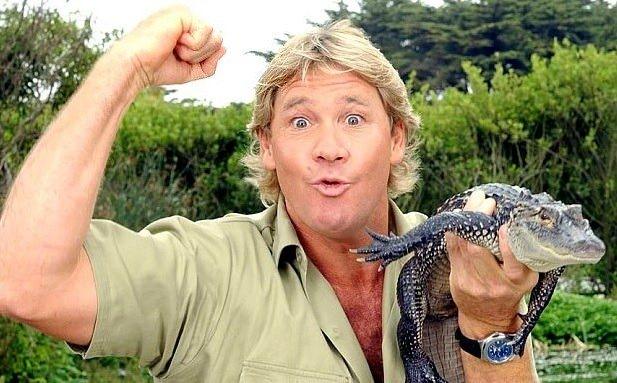 <p>2006 da Avustralyalı vahşi yaşam uzmanı ve TV programcısı Steve "Timsah avcısı" Irwin kalbine saplanan bir vatoz balığı iğnesi sonucu öldü.</p>
