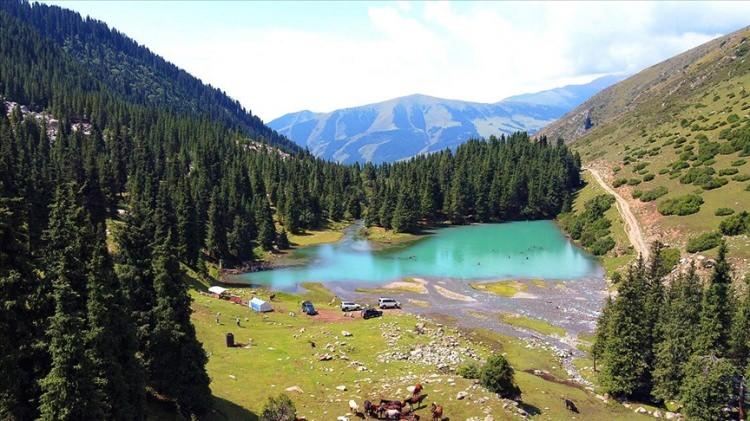 <p>Kırgızistan:</p>

<p>Ceviz ormanları</p>
