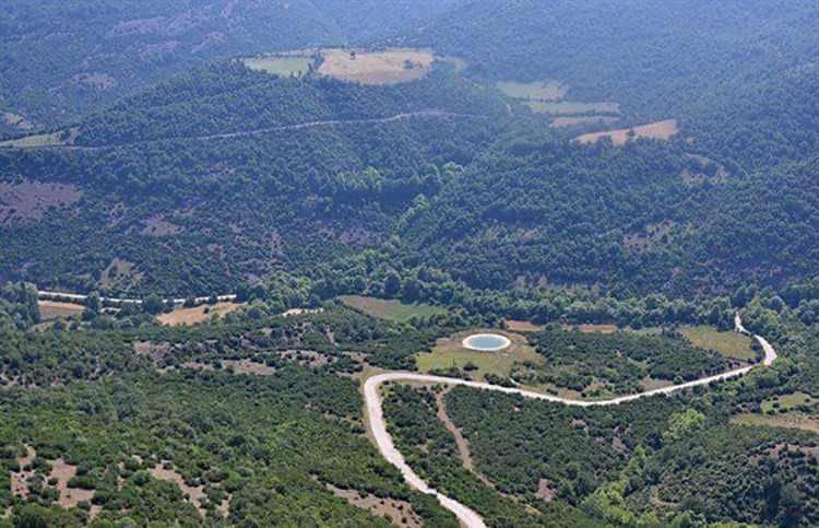 <p>Pilotların hangi alanlarda çalışacakları, nerelerden su alacakları, kaç sorti yapacakları konularında yangın yönetim merkeziyle koordineli hareket ettiğini anlatan Derince, "Yangında bir ekip çalışması gerçekleştiriliyor. Karadan müdahale eden ekipler ile havadan müdahale eden ekipler koordineli çalışıyorlar." dedi.</p>
<p> </p>