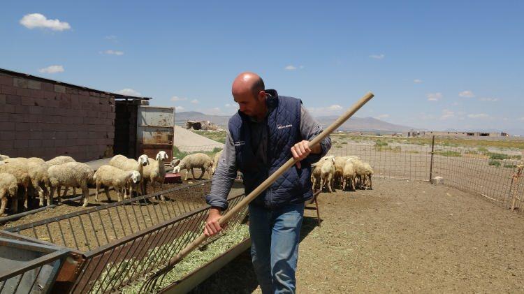 <p>Gençlere, hayvancılık ve tarım hakkında tavsiyede bulunan ve avantajlarından bahseden Çetin, şöyle konuştu:</p>

<p>"Biz bu işi yapmaya başladıktan sonra verimimiz ve ortalama üretimimizde artış oldu. Biz Kayseri Yeşilhisar ilçesinde üretmekteyiz. Buradan gençlere naçizane tavsiye olarak, bu tip ata-dede mesleklerini kesinlikle terk etmeyin. Koyun bereketli ve verimli bir hayvandır. Size dışarıda çalışacağınız maaştan daha fazla getiri sağlayacaktır. Bu şekilde bir tavsiyede bulunabilirim. Zaten ülkemizin de en büyük ihtiyacı olan üretimdir. Üretmeyen ülkeler, üretmeyen merkezler batmaya mahkumdur."</p>
