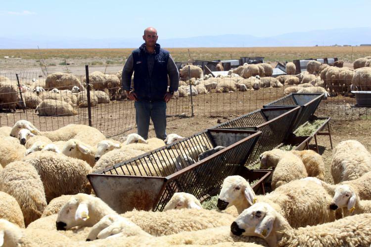 <p>2019 yılına kadar çeşitli şubelerde tarım portföyü olarak görev yapan Çetin, bir süre sonra çalıştığı bankanın Sivas'ın Kangal ilçesindeki şubesinin müdürlüğü görevine getirildi. Çetin, Yeşilhisar ilçesindeki babasından kalan hayvanlara çoban bulamayınca, bankacılık mesleğinden istifa ederek ilçeye yerleşti. </p>
