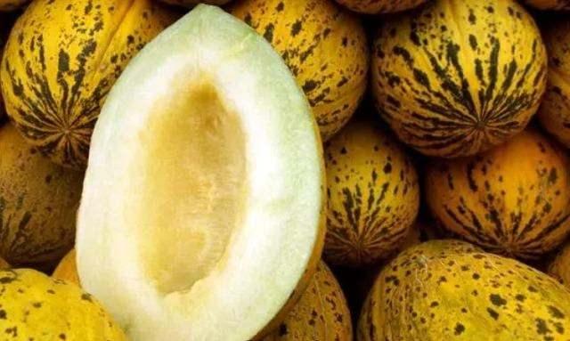 <p>Kavun kabukları, içerdikleri K vitamini sayesinde bağırsaklardaki flora dengesini korur. Bu sayede bağırsaklar daha sağlıklı çalışır. </p>
<p> </p>
