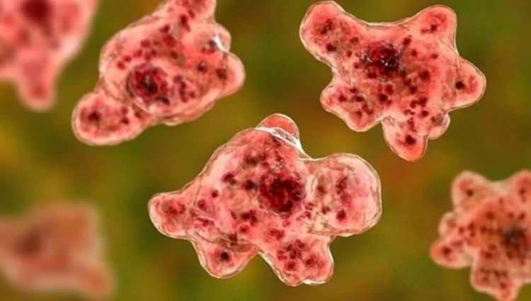 <p>Gittikleri üçüncü hastanedeki doktorlardan Abdul Rauf, Jasim'in "beyin yiyen amip" olarak bilinen Naegleria fowlerinin sebep olduğu PAM hastalığına yakalandığını tespit etti.</p>
