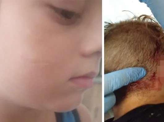 <p>Başıboş sokak k&ouml;peklerine y&ouml;nelik yasa Meclis'ten ge&ccedil;ti.&nbsp;</p>
