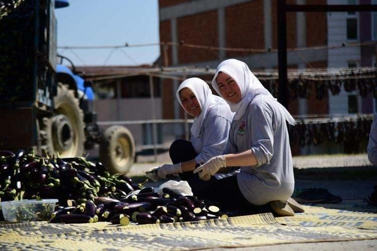 <p><strong>Türkiye'nin her karışında özenle yetişen yöresel lezzetlerimiz dünyanın pek çok ucuna satılmakta. Bunlardan bir tanesi ise Aydın Nazilli'de 67 yıldır üretiliyor. İşte faydaları say say bitmeyen, Aydın'dan dünyaya kilo kilo satılan o mucize besin ve faydaları</strong></p>
