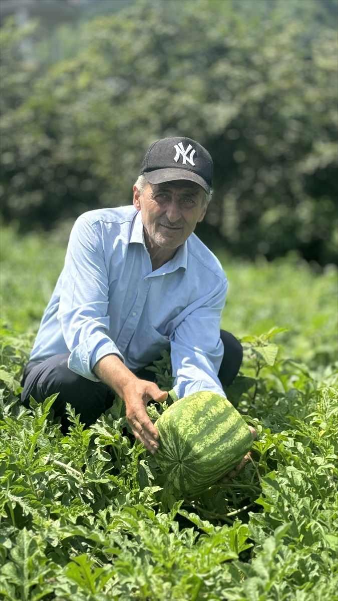 <p>Karpuzların hasadına başlayan 3 çocuk babası Temel Yaşar Yazıcı, AA muhabirine, karpuz yetiştiriciliği ile yaklaşık 10 yıldır uğraştığını söyledi.</p>